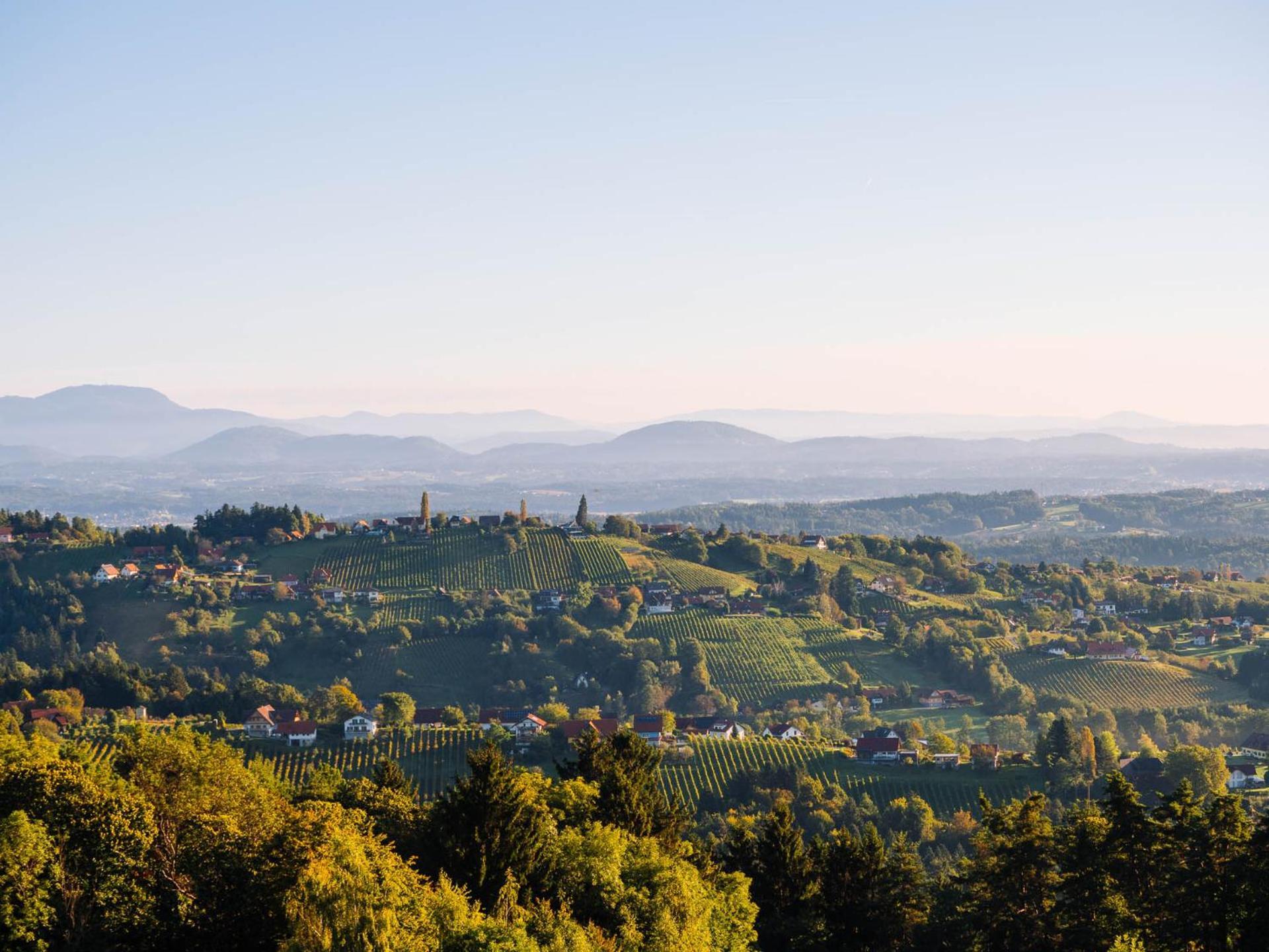 Schilcherlandleben - Hochgrail Greisdorf Exteriör bild